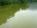 Rio de Dois Rios