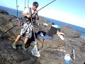tazs-fish-kagami-uluagaffed-2.html