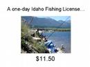 An Idaho Vacation