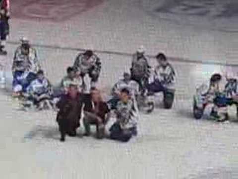 Adler vs Scorpions: Petermann's ...