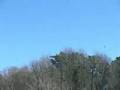 UFO vs USAF