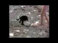 my another video my another video
