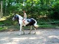 Bareback riding in reverse Bareback riding in reverse