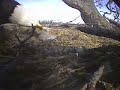 Watch me grow!