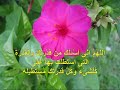 دعای سحر