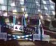 Mini show jumping