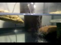 pep checkin camera