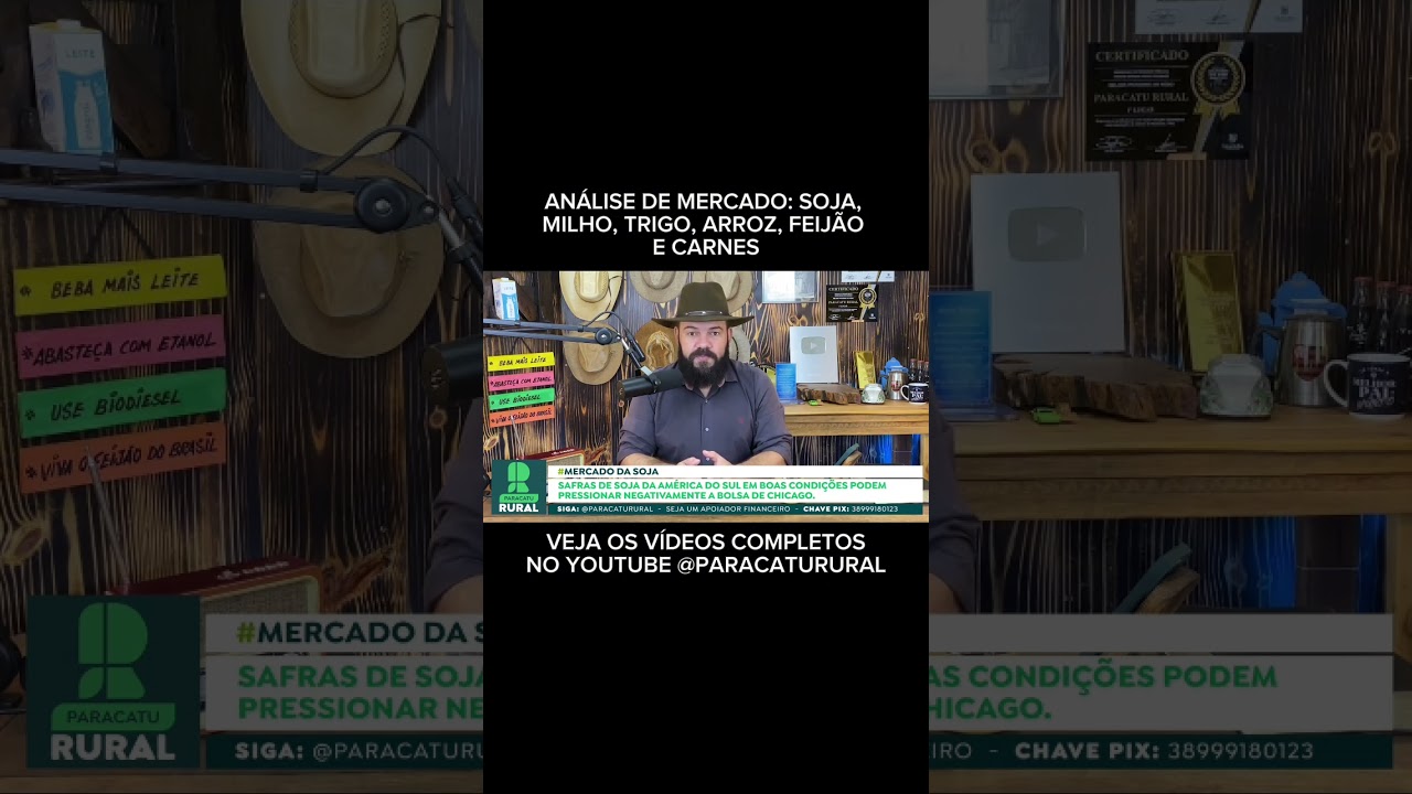 20 de novembro de 2024