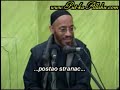 stranci - islam je poceo sa jedinkama (stran) stranci - islam je poceo sa jedinkama (stran)