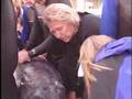 Risso Dolphin Release