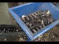WATCH IT SHRED! \\\\ Copy Machine // (SSI Shredder) WATCH IT SHRED! \\\\ Copy Machine // (SSI Shredder)