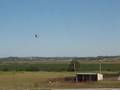 videos de Eflite Cub 25e