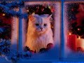 Merry Christmas To All The World From Celine Dion And Me