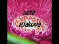 sefe gjakova