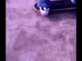 videos de 50-50 flip out