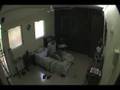 videos de DAINOSOR