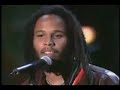 natural mystic ziggy marley