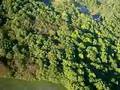 Flight over Goshen