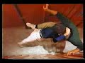 cynthia-rothrock-Blo