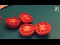 EL COCINERO FIEL # 165 SOPA DE AJO (¿VEGANA?)