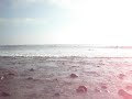 Malibu Beach Cold Water