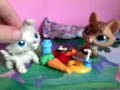 littlestpetshop:haloween cat odc 2. littlestpetshop:haloween cat odc 2.