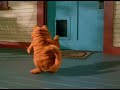garfield dancing sayaw darling of wowowee!