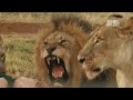 I'M ALIVE: Teenager Attacked By 3 Lions