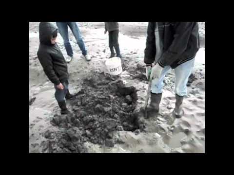 how to collect lugworm