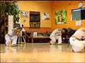 Capoeira - Vancouver Film School (VFS)