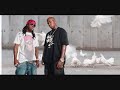 Lil wayne bitch please