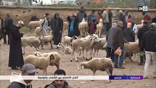 أثمان الأضاحي بين الكساب و الوسيط ..