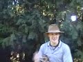 Steve Irwin RIP our Aussie brother Steve Irwin RIP our Aussie brother