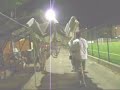 IL GAZEBO 2