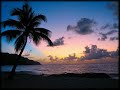 Clear Conscience - Island Feeling - free flv video @ vwatch.tv