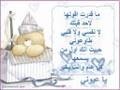 3eed s3eed 3ala 7bebe-نور عيني