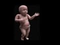 Bebê de Proveta Dançando Bebê de Proveta Dançando