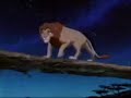 Promise of a Lifetime~ Mufasa & Simba