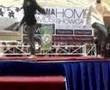 hardstyler @ angsana