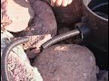 Aquascape RainXchange Booster Pump Installation