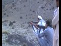 idrisa in Paktiya