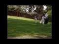 Aikido,of,Fresno