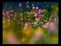 M�ziksiz ilahiler 152   Bize aglamayin