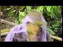 Raiders: The Adaptaion trailer Raiders: The Adaptaion trailer