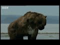 Ice Age Predators - Wild New World - BBC Ice Age Predators - Wild New World - BBC