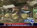 Healthbeat - Whole Grain Benefits