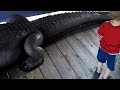 Travis Don't Like No Gators (Holiday Day 3 - Gatorland)