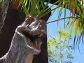 los-angeles-hollywood-universal-studios-californie-usa.html
