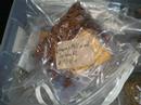 seeds of hope: 2007 earth keeper pharmaceutical clean sweep