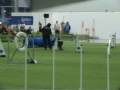 videos de expo hopp alvsjo081207